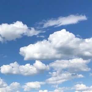 Meet your Posher, Charlotte